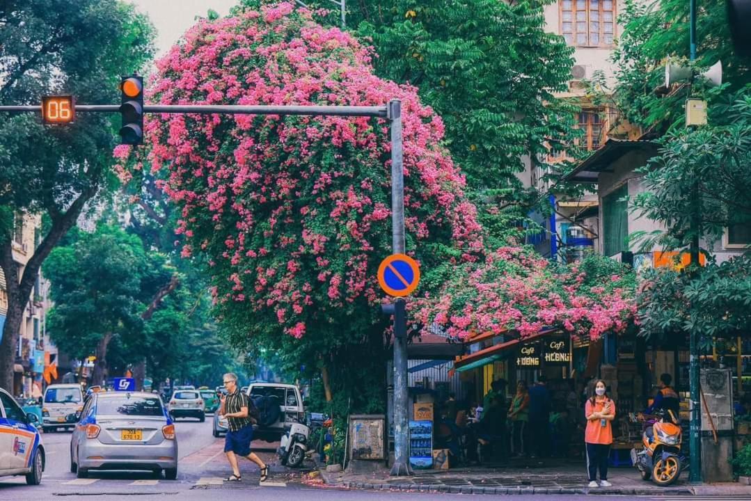 Tropical Land Little Hanoi Homestay Exterior photo
